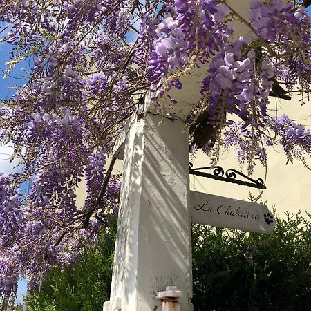 La Chabriere, Briarde De Charme Au Calme Proche Disneyland Lumigny Eksteriør bilde